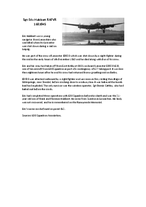 A preview of a PDF biography for Hubbert, Eric